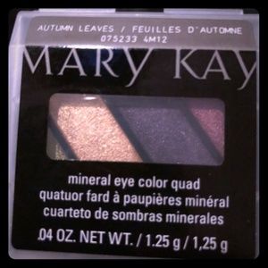 Mary Kay Mineral Eye Color Quad Autumn Leaves